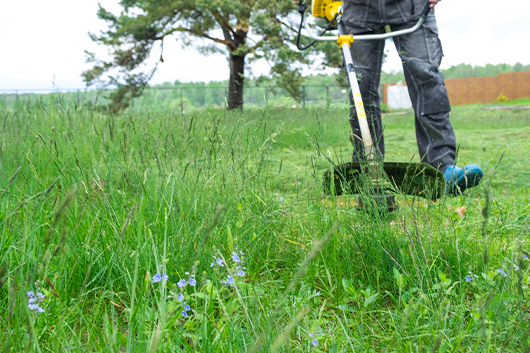 Grass cutting Midlands