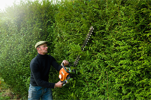 Hedge Cutting Midlands