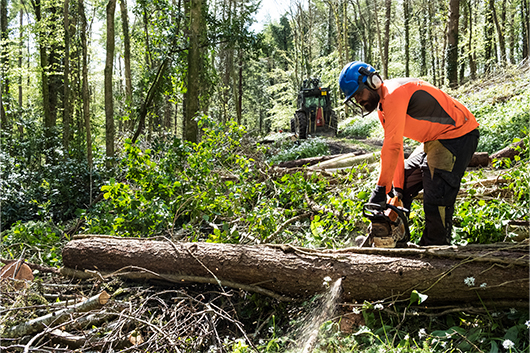 Tree Management Midlands